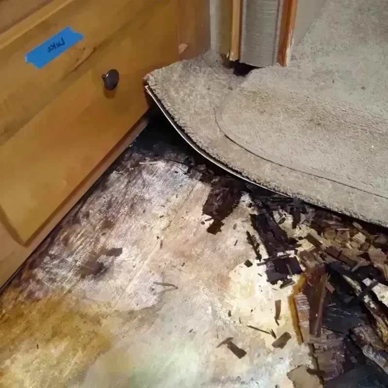 Best Wood Floor Water Damage Service in Warren, OH